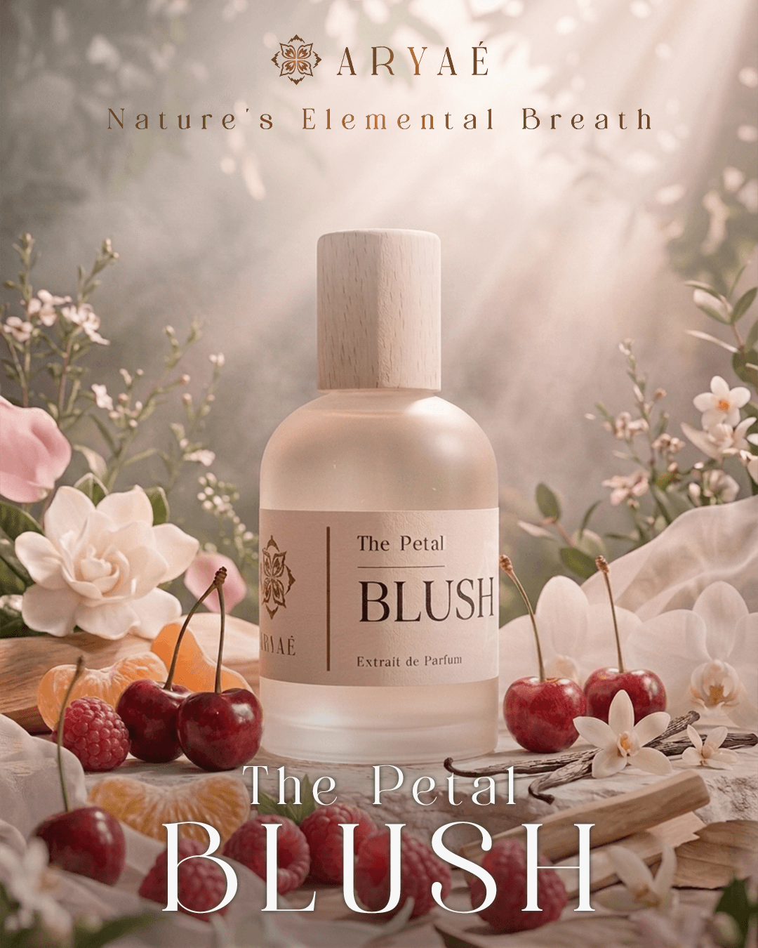 Aryae Blush Perfume | Long Lasting Perfume | Extrait de Parfum
