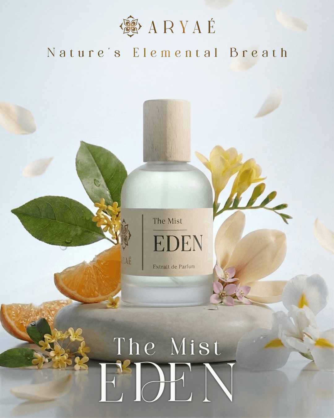 Aryae Eden Perfume | Long Lasting Perfume | Extrait de Parfum